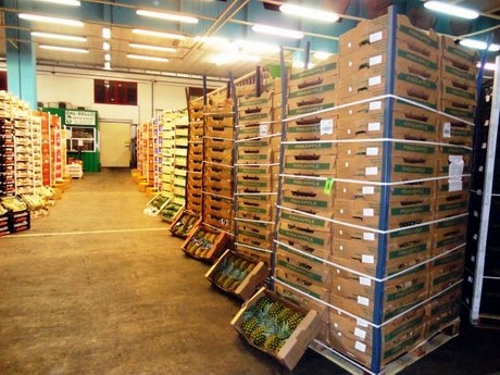 Impianto refrigerazione Ortofrutticola