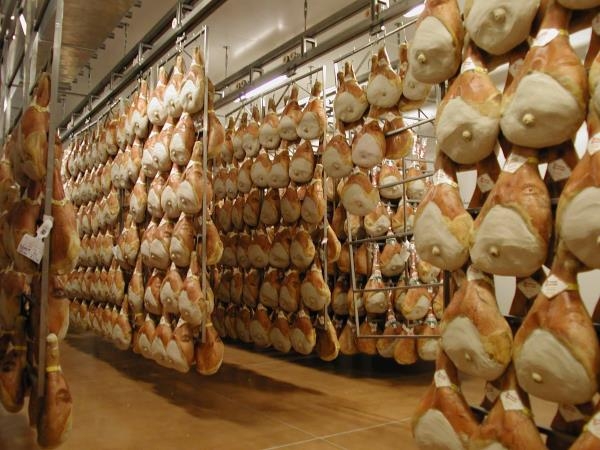 Impianti stagionatura per Salumifici