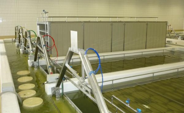 Impianto Salatura dinamica Progema Engineering