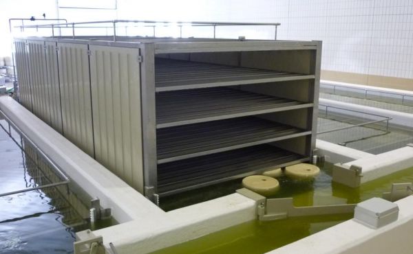 Impianto salina dinamica Progema